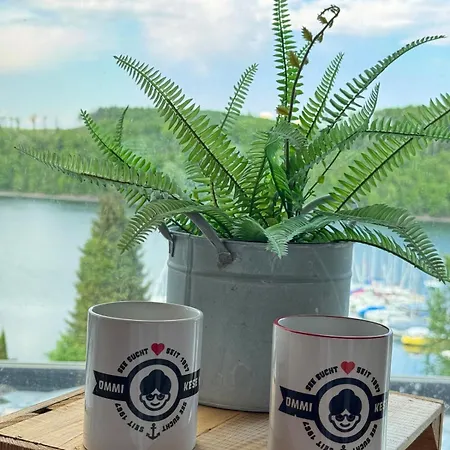 #5 Ommi Kese Star Kamin Balkon Seeblick דירה Olpe bei Meschede